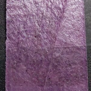 INSTITUT HAMBURGER BOTEN (2)